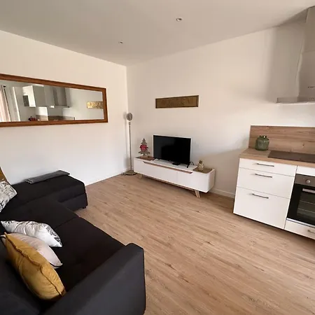 Apartment Lys Aeroport, Eurexpo, Groupama Stadium, Arena Ldlc Pusignan